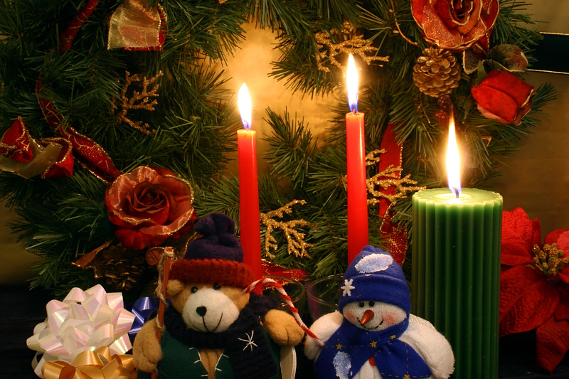 Simple Steps for Safe Plant Pot Disposal